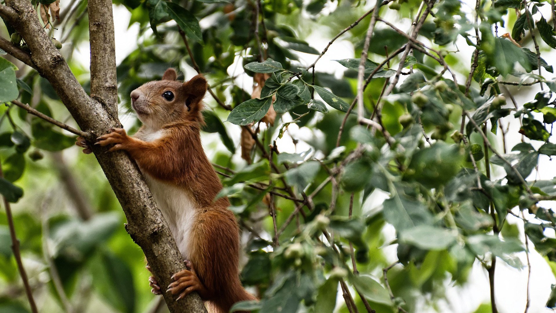 九游官网下载电脑版-2022年季后赛：库里在第三节一人投中五个三分，瞬间锁定胜局，库里本赛季投进了多少三分